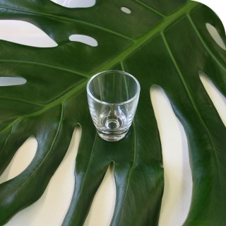 Wodkaglas 35 ml H.5 cm - Klar [kaufen]