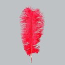 [ KAUFEN ] Straußenfeder - L.50-55 cm - Rot