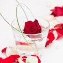 [ KAUFEN ] Teelichtglas - H.7 x B.6 cm - konisch - Glas -...